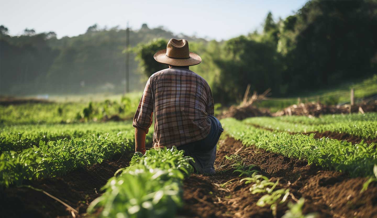 Fretes com agilidade para o produtor rural